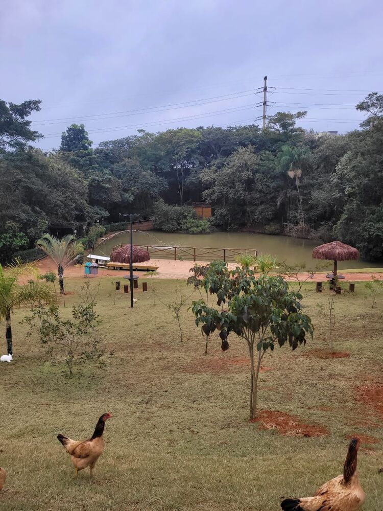 Terreno, 531 m² - Foto 14