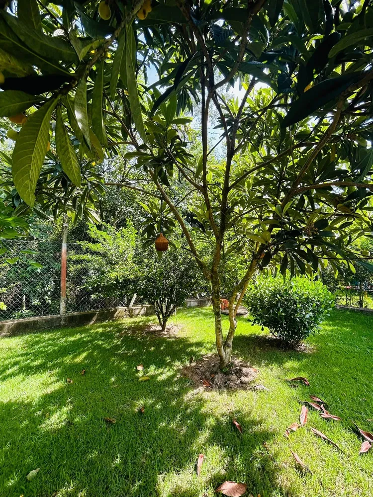 Chácara, 3 quartos - Foto 10