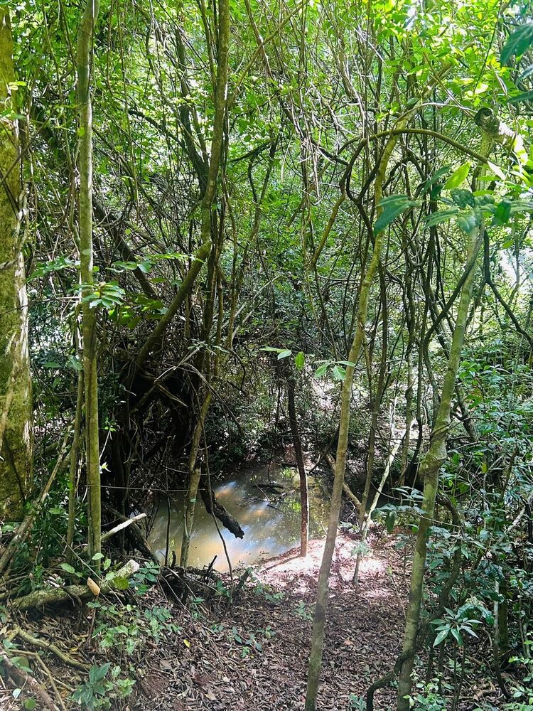 Chácara à venda com 3 quartos, 1100m² - Foto 7