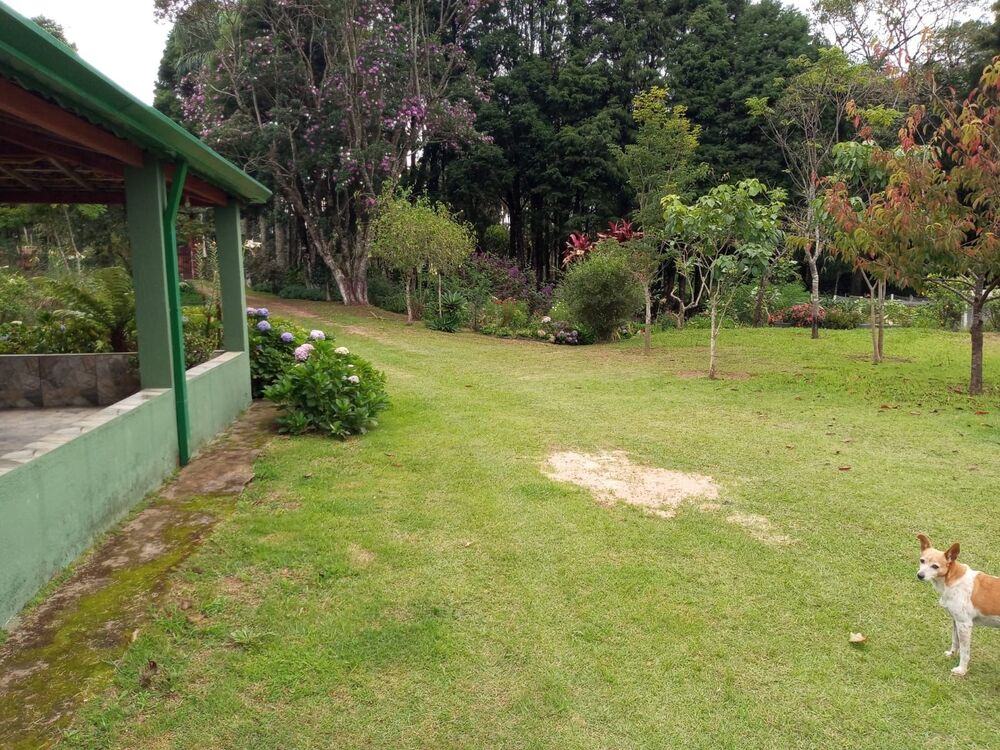 Sítio, 3 quartos - Foto 47