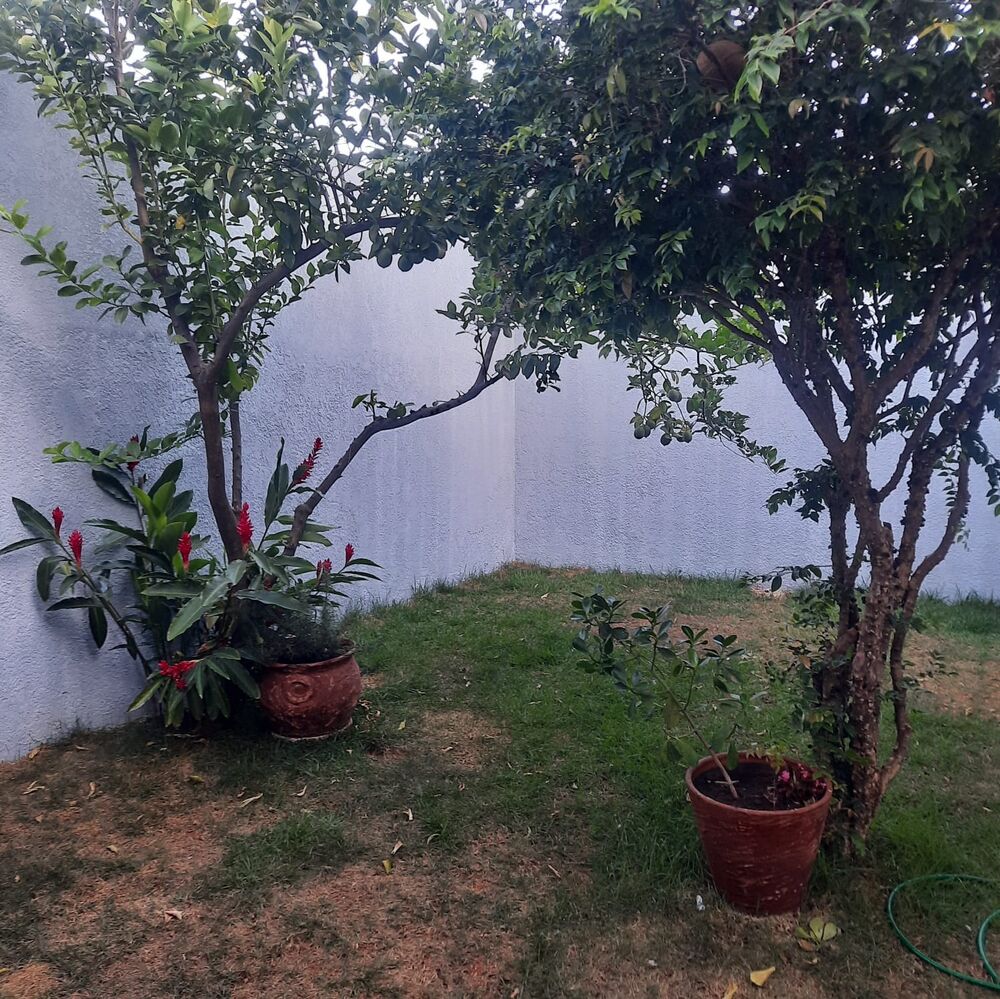 Casa, 3 quartos, 260 m² - Foto 14