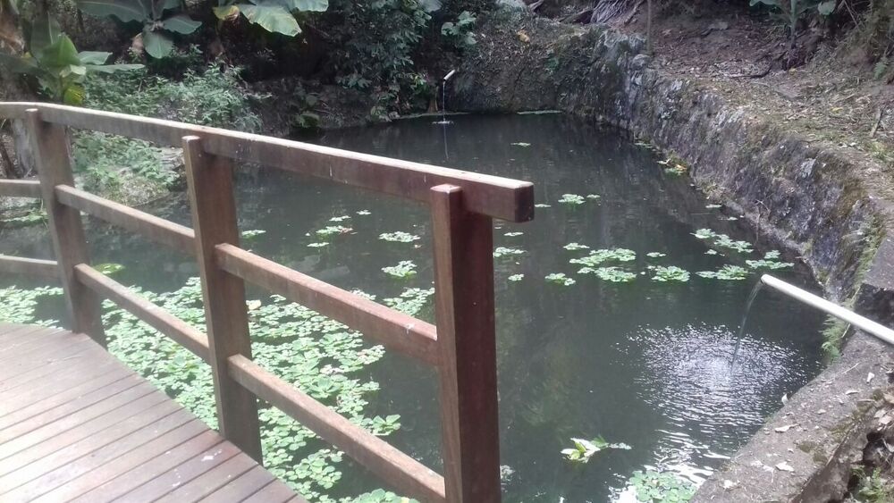 Chácara, 8000 m² - Foto 4