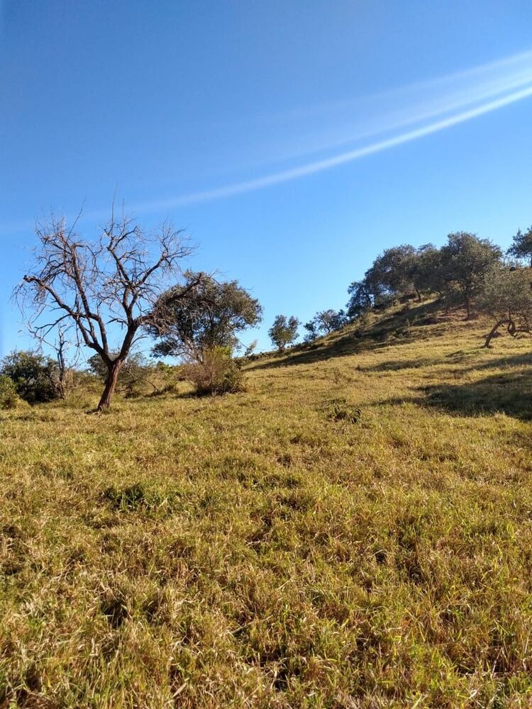 Terreno, 178400 m² - Foto 11