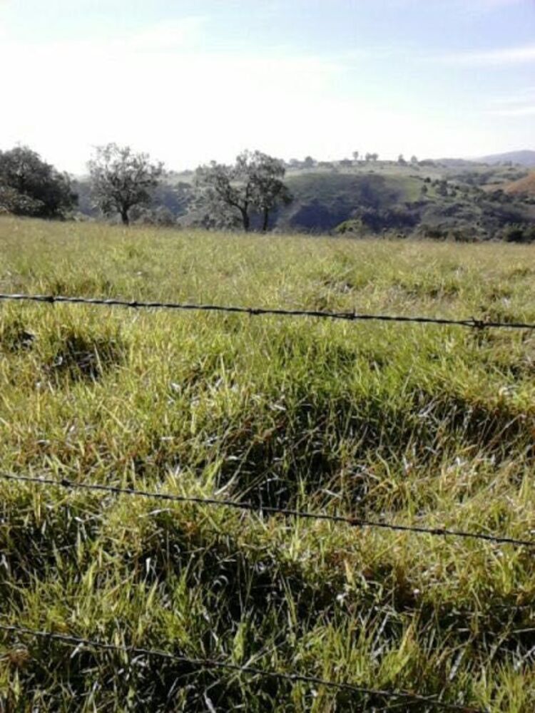 Terreno, 178400 m² - Foto 12