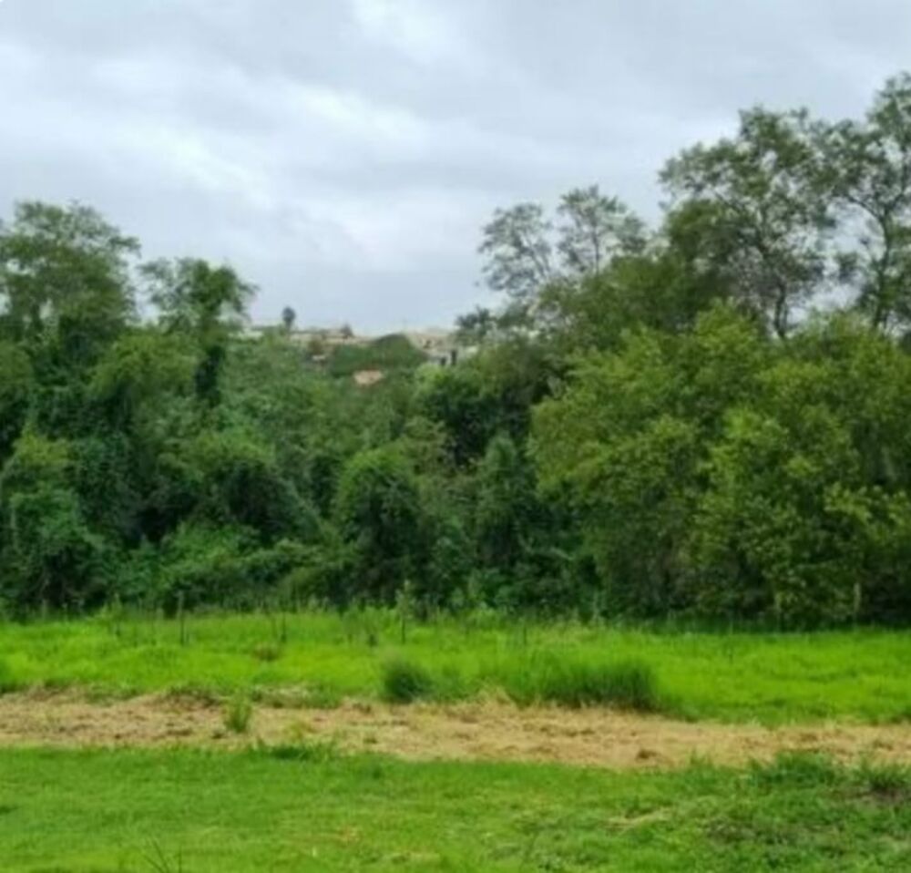 Terreno, 1000 m² - Foto 1