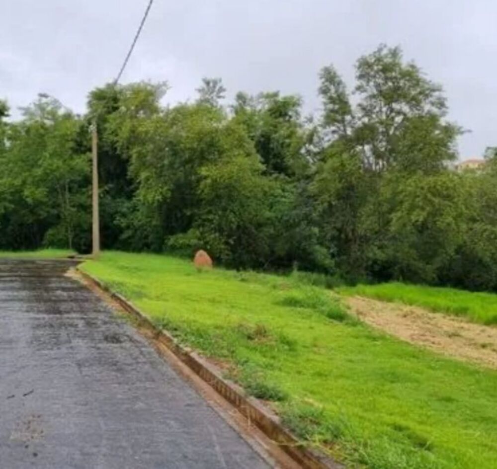 Terreno, 1000 m² - Foto 2
