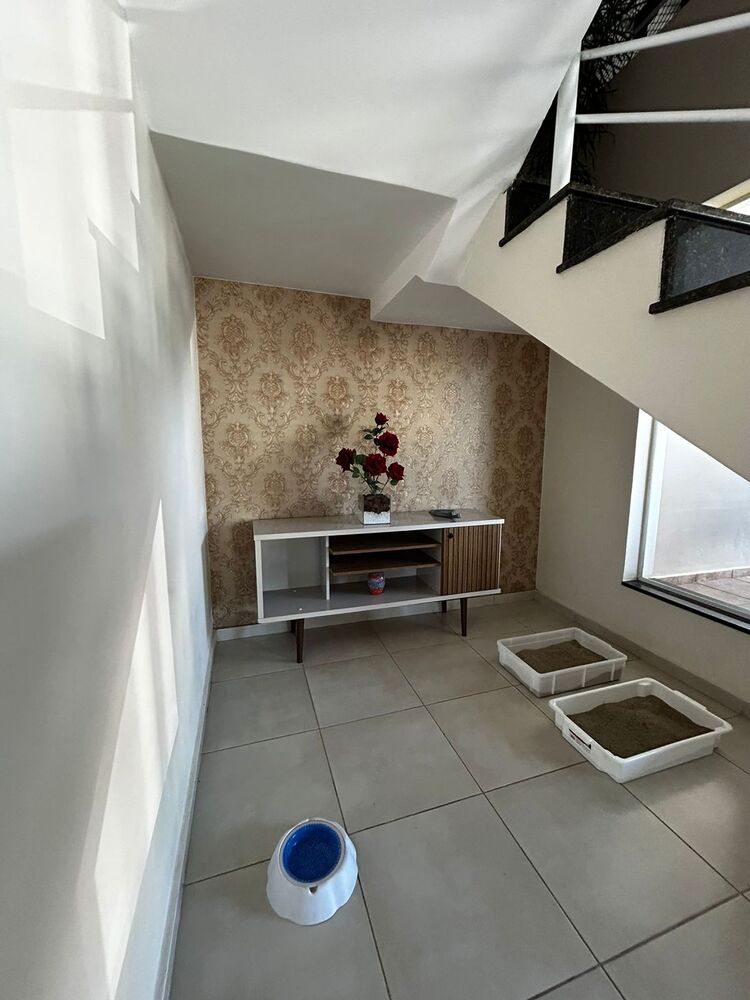 Casa, 3 quartos, 310 m² - Foto 39