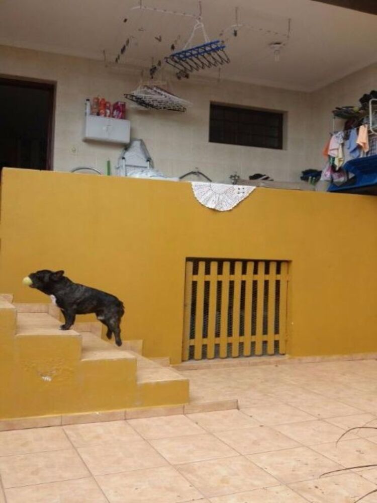 Casa, 2 quartos - Foto 7