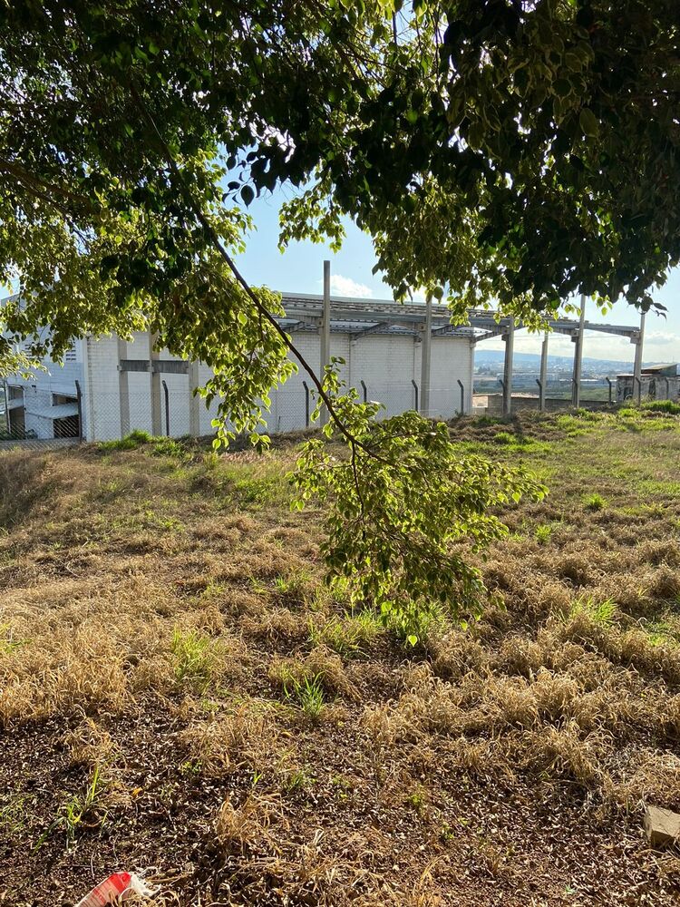 Terreno, 1000 m² - Foto 12