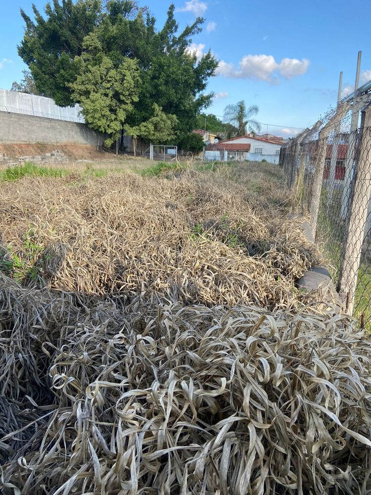 Terreno, 1000 m² - Foto 5
