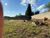Terreno, 1000 m² - Foto 5