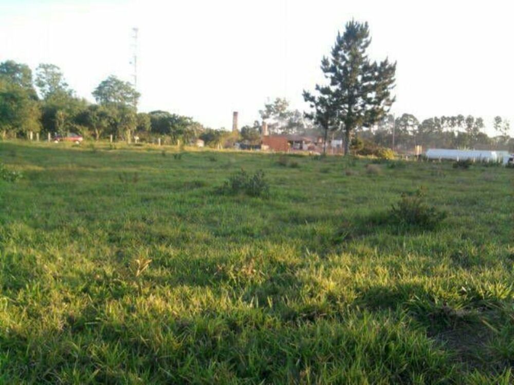 Terreno, 9 hectares - Foto 2