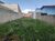 Terreno, 140 m² - Foto 2