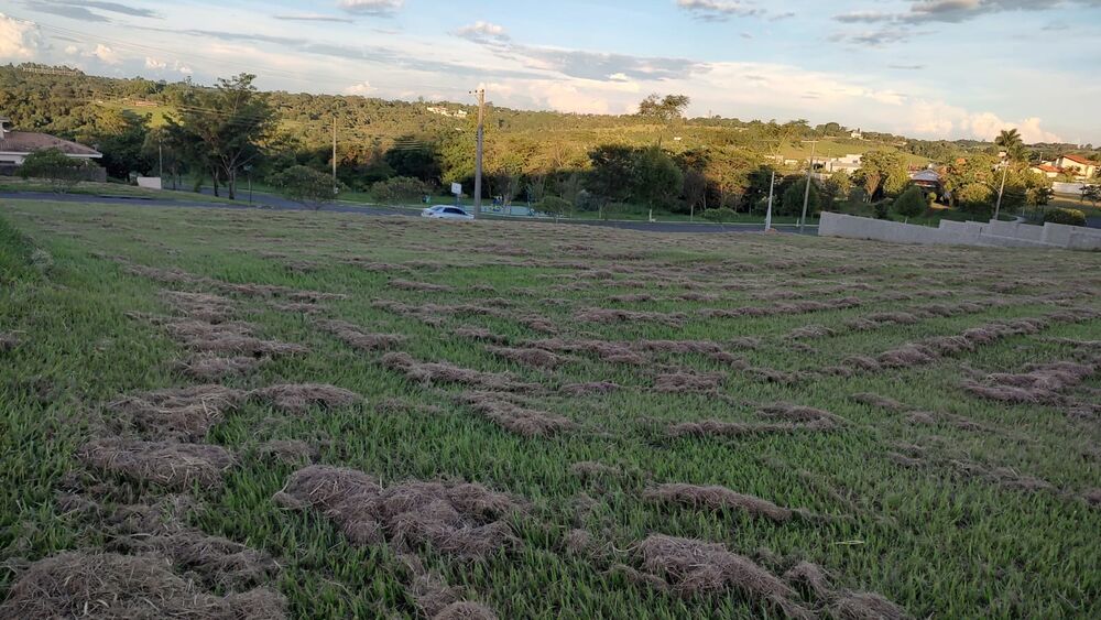 Terreno, 1000 m² - Foto 2