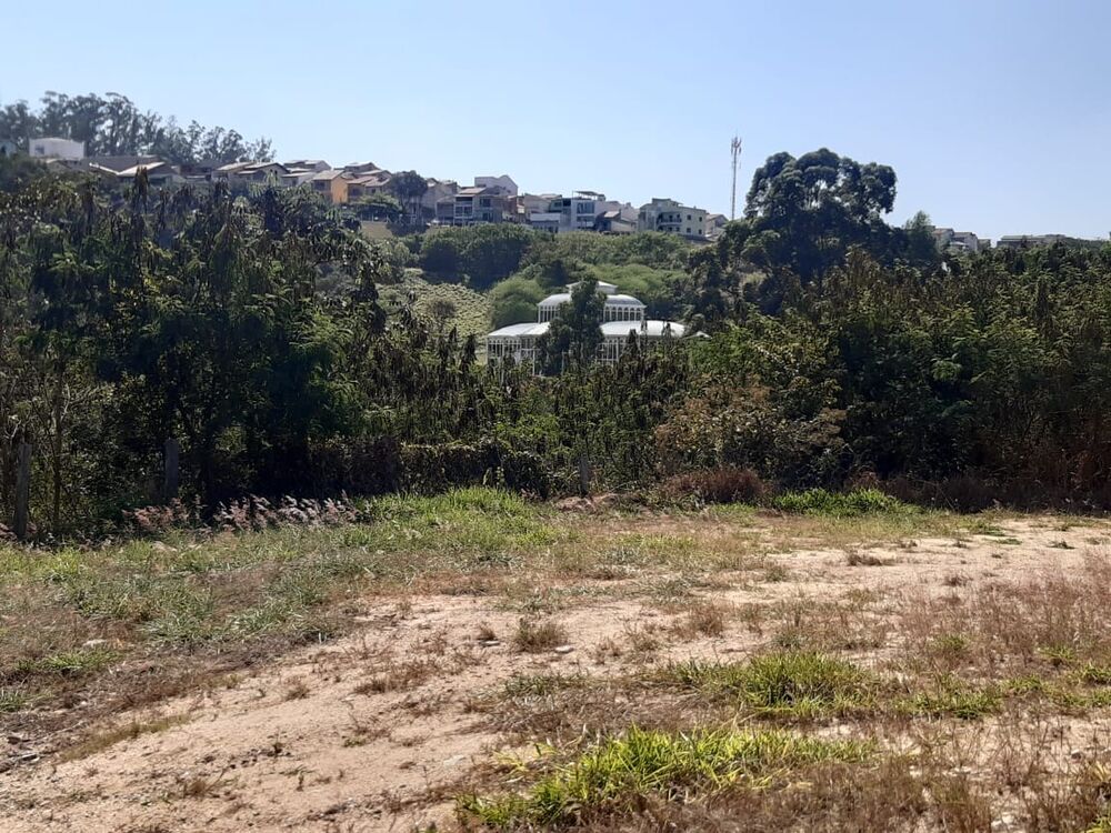 Terreno, 5300 m² - Foto 4