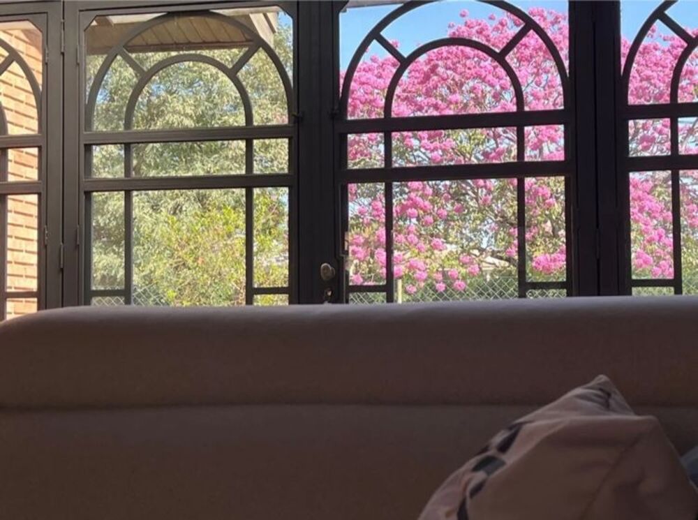 Casa, 5 quartos, 904 m² - Foto 6