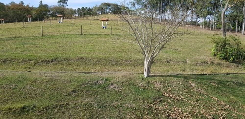 Sítio, 4 quartos, 1 hectares - Foto 14