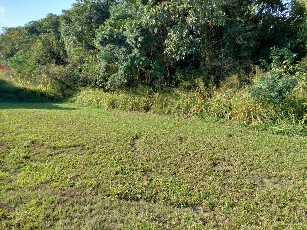 Terreno, 850 m² - Foto 4