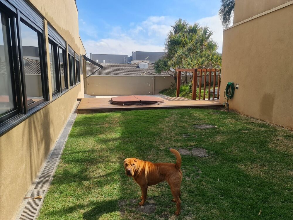 Casa, 4 quartos - Foto 1