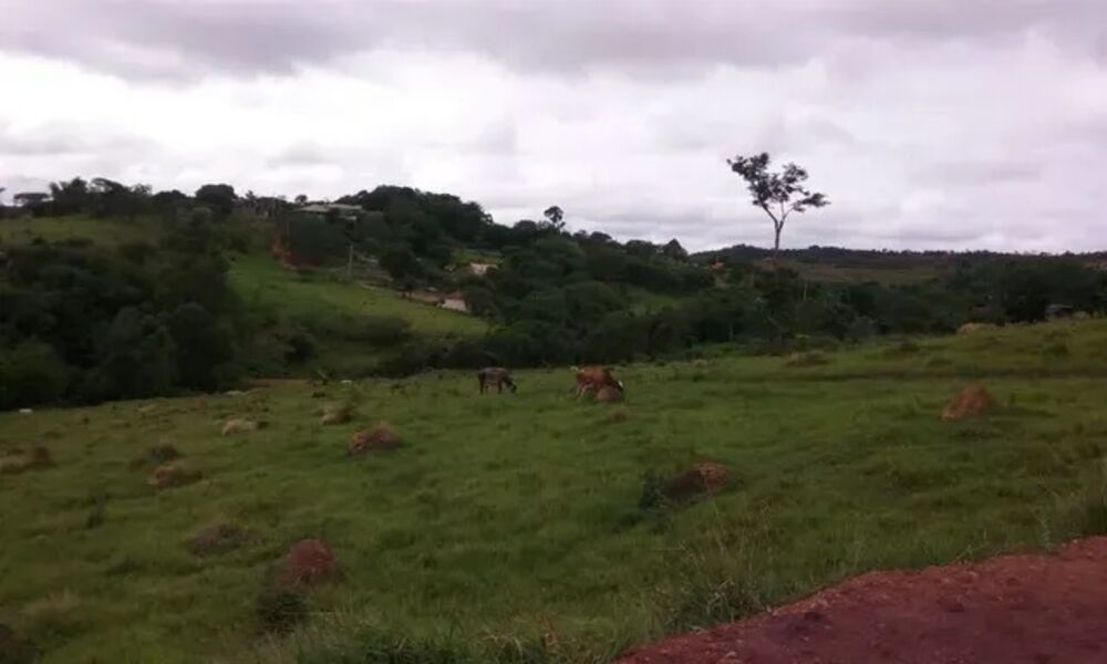 Terreno - Foto 1