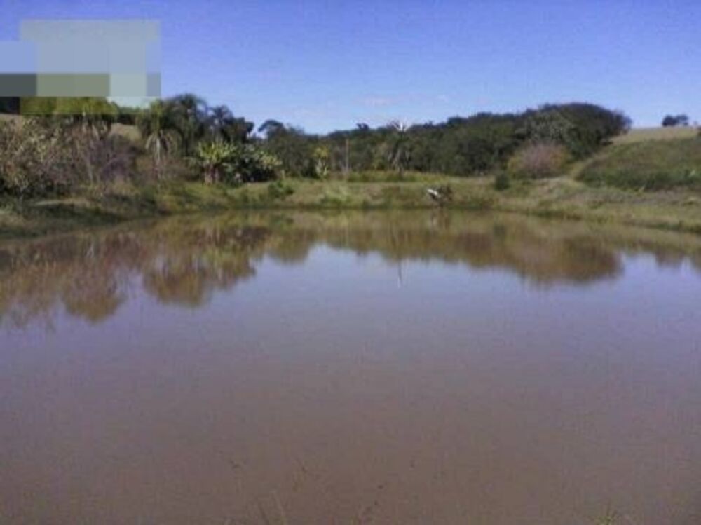 Fazenda à venda e aluguel com 5 quartos - Foto 23