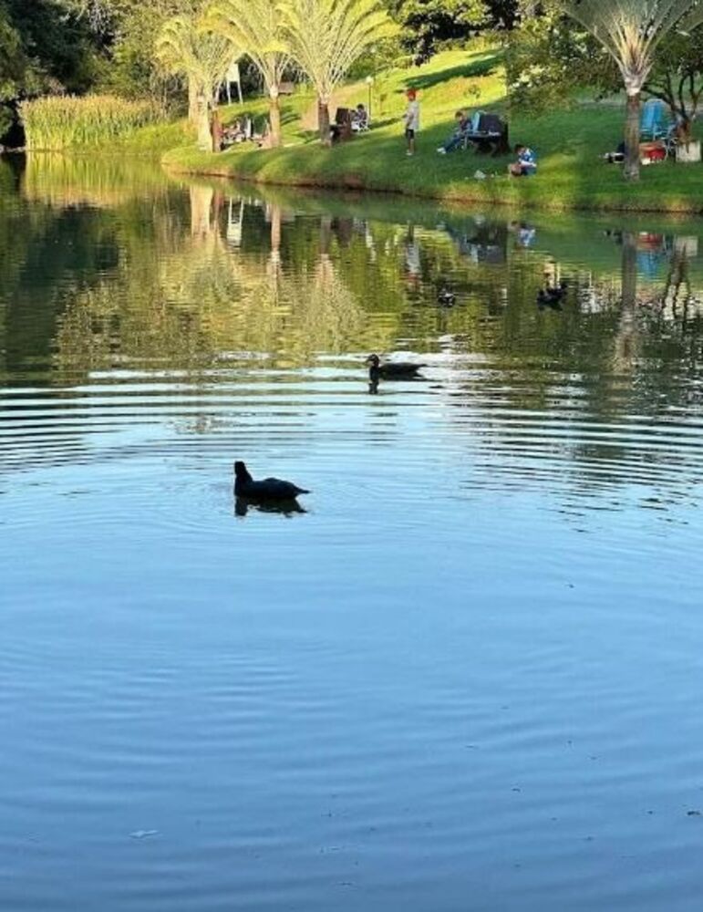 Terreno, 246 m² - Foto 9