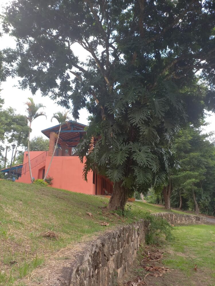 Sítio, 4 quartos, 2000 m² - Foto 8