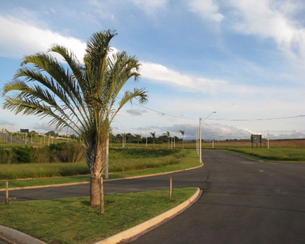 Terreno, 250 m² - Foto 2