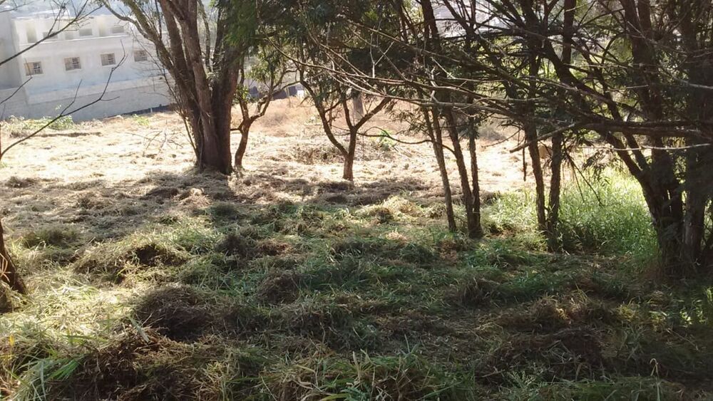 Terreno, 7885 m² - Foto 13