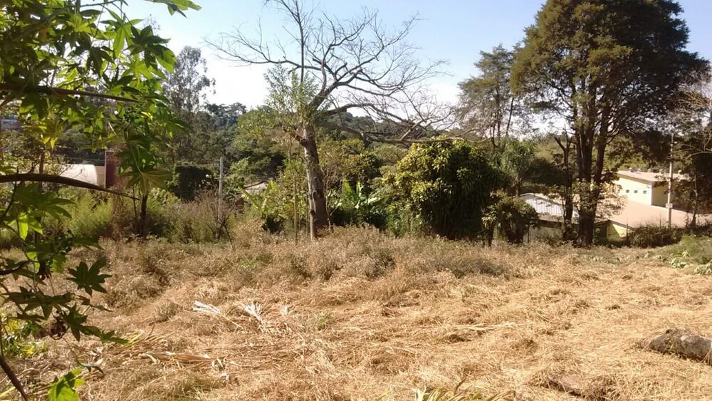 Terreno, 7885 m² - Foto 8