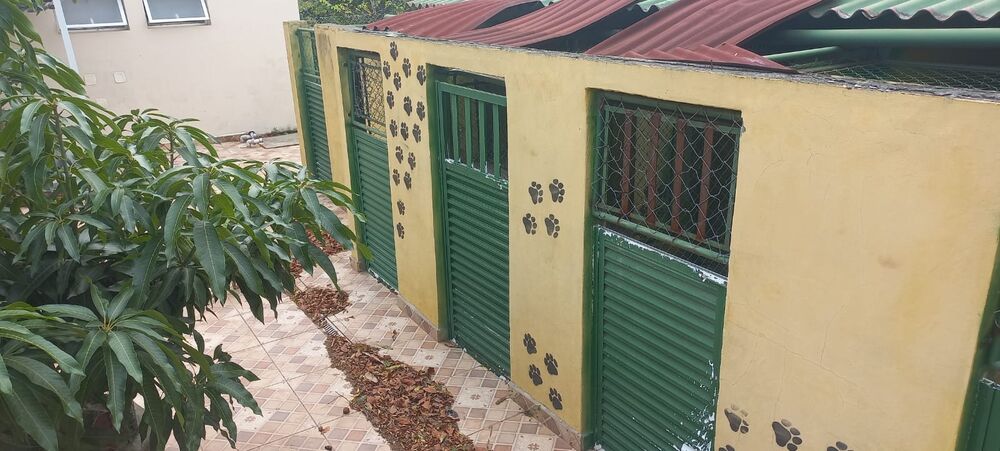 Chácara, 5 quartos - Foto 2