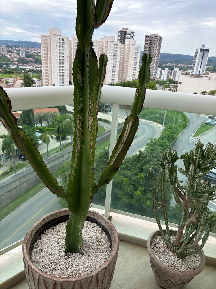 Apartamento, 2 quartos, 130 m² - Foto 8