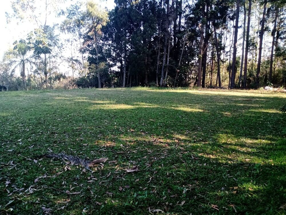 Sítio, 4 quartos - Foto 5