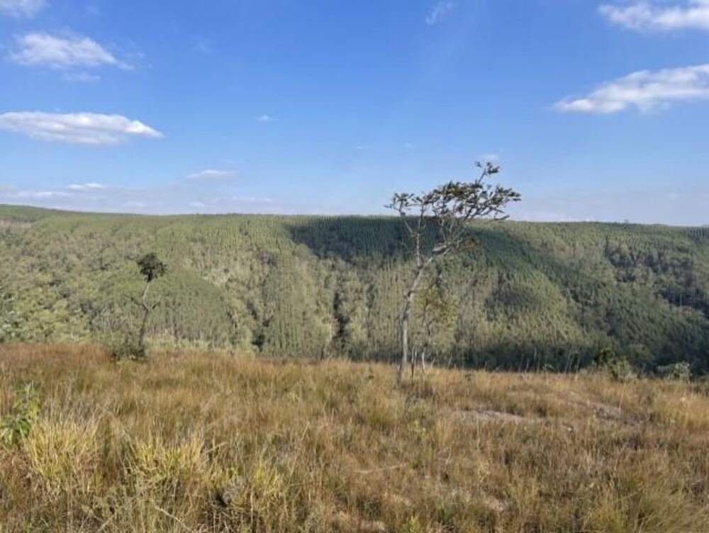 Fazenda, 56 hectares - Foto 9