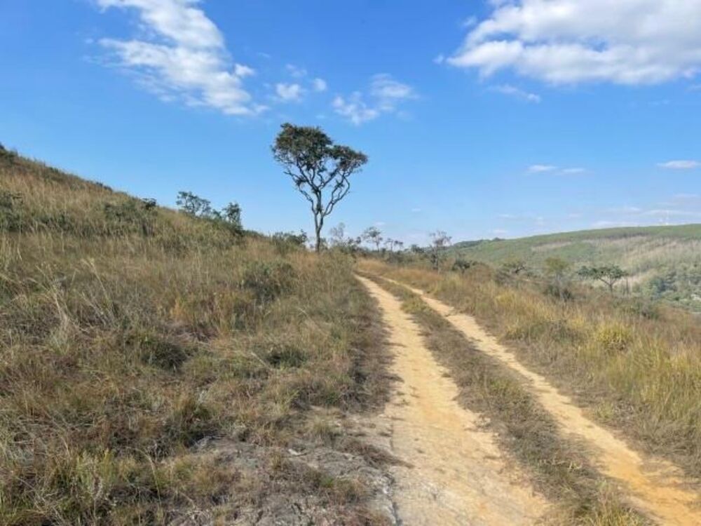 Fazenda, 56 hectares - Foto 3