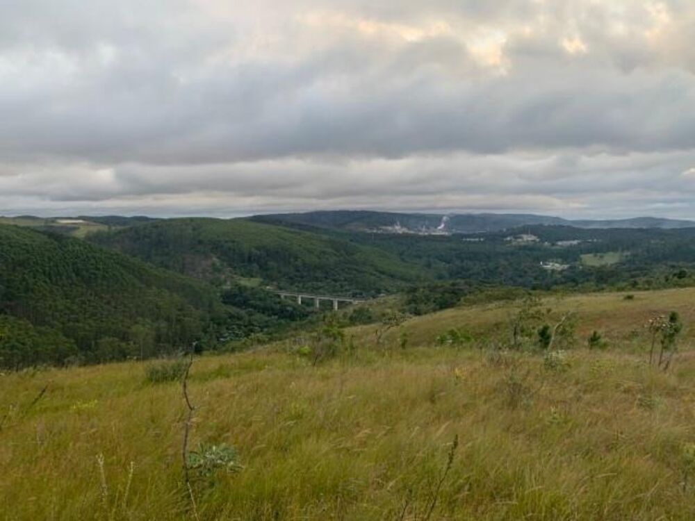 Fazenda, 56 hectares - Foto 10