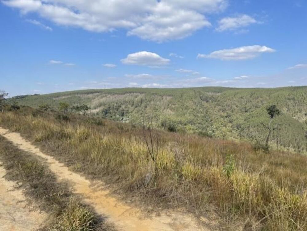 Fazenda, 56 hectares - Foto 7