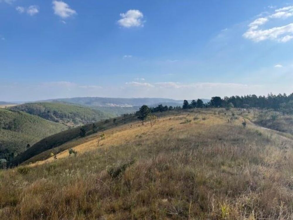 Fazenda, 56 hectares - Foto 2