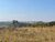 Fazenda-Sítio-Chácara, 56 hectares - Foto 1