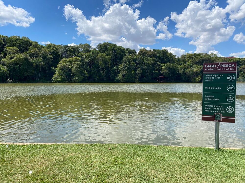 Terreno, 1257 m² - Foto 6