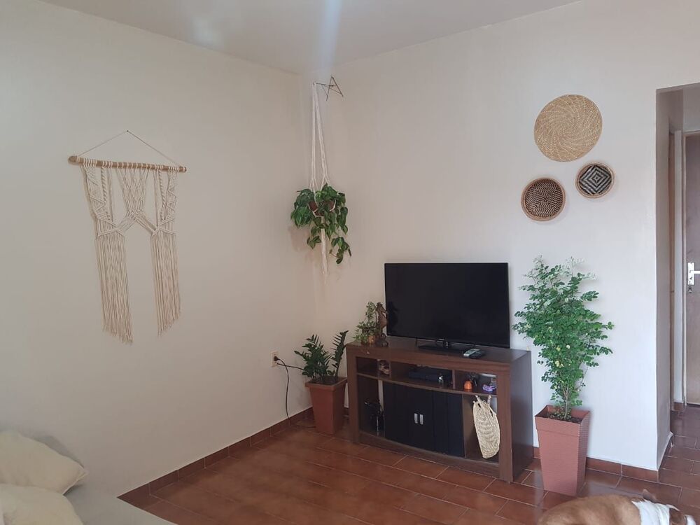 Casa, 2 quartos, 250 m² - Foto 6