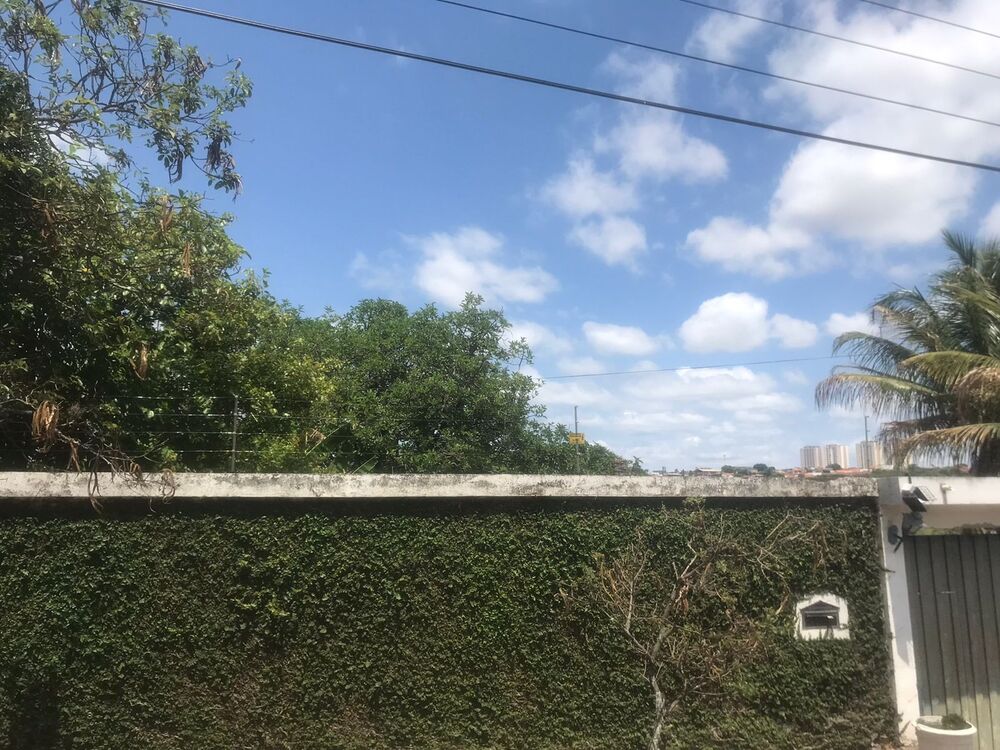 Terreno, 9000 m² - Foto 4