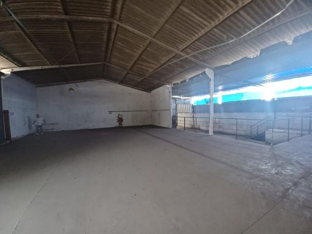 Depósito-Galpão - Foto 1