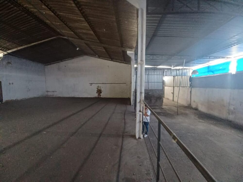 Depósito-Galpão - Foto 6