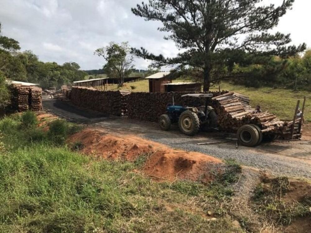 Sítio à venda com 2 quartos - Foto 8