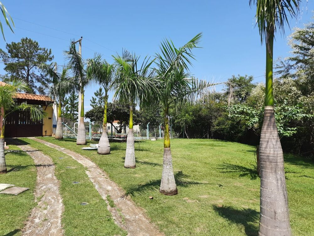 Chácara à venda com 5 quartos - Foto 3