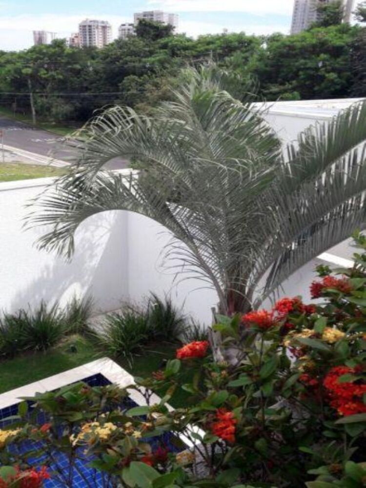 Casa, 4 quartos - Foto 7