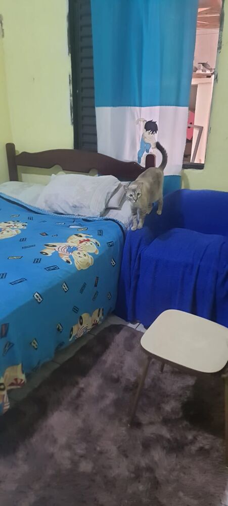 Casa, 2 quartos - Foto 8