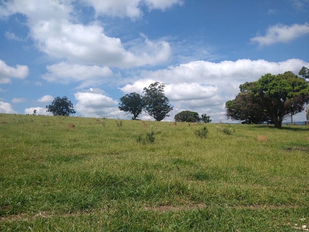 Terreno, 89876 m² - Foto 1