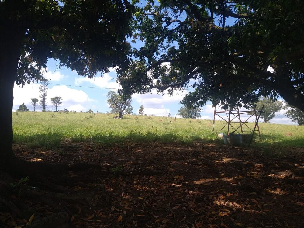 Terreno, 89876 m² - Foto 9